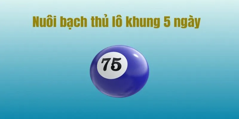 Chiến thuật bạch thủ lô khung 5 ngày đòi hỏi sự kiên nhẫn