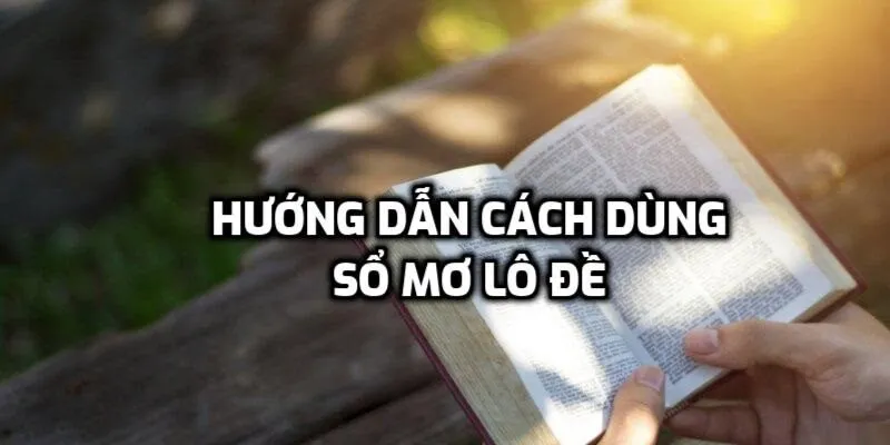 Giải mã số mơ dựa trên dữ liệu thực tế