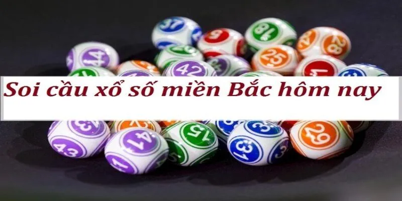 Không cược dựa vào cảm tính