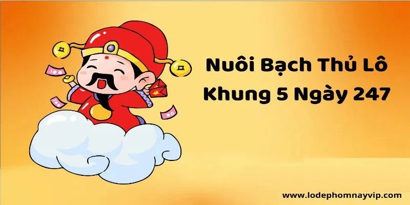 SOICAU247 cung cấp công cụ soi cầu giúp lô thủ chọn số chính xác hơn