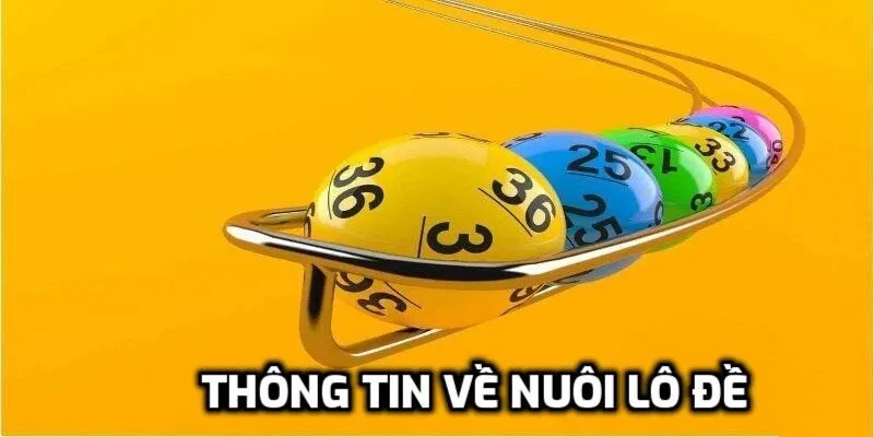 Thông tin về nuôi lô đề nên biết