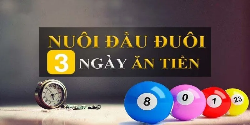 Tỷ lệ thưởng khi áp dụng đầu đuôi nuôi khung 3 ngày